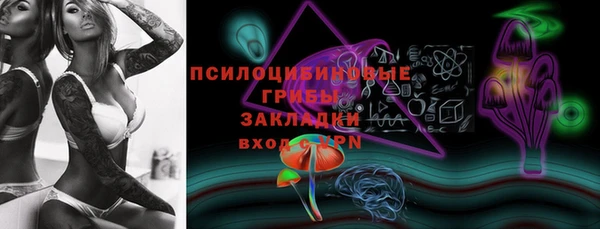 PSILOCYBIN Белоозёрский